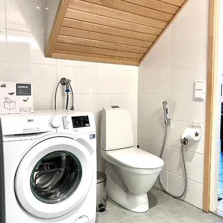 Sointuilevi 9 Q 65 By Aavalevi