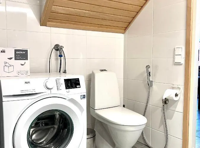 Sointuilevi 9 Q 65 By Aavalevi